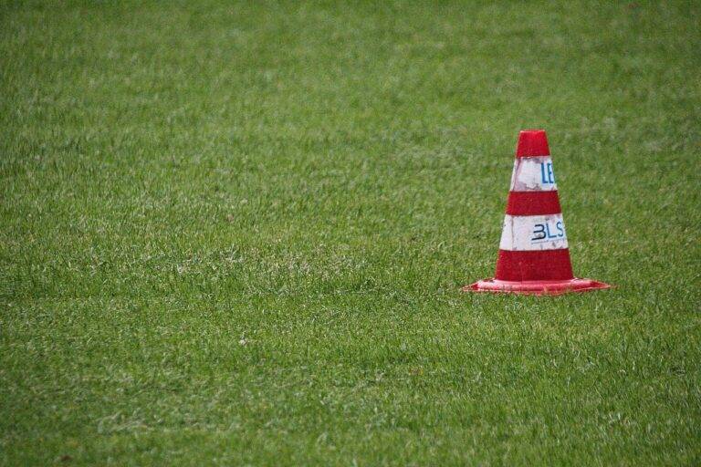 IPL Auction Strategies: Insights from Franchise Owners and Team Management