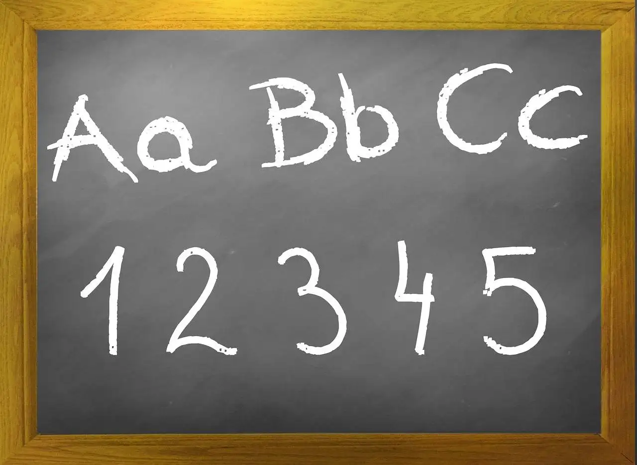 Exploring the Benefits of Experiential Learning in Environmental Science Education