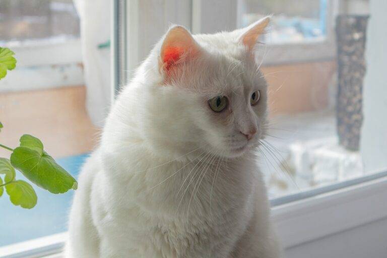 DIY Fireplace Makeover Ideas for a Cozy Home