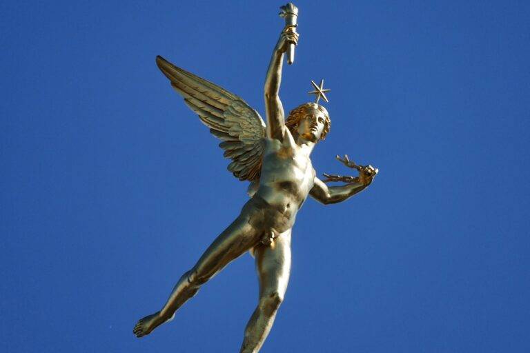 IPL’s Contribution to the Professionalization of Cricket Coaching