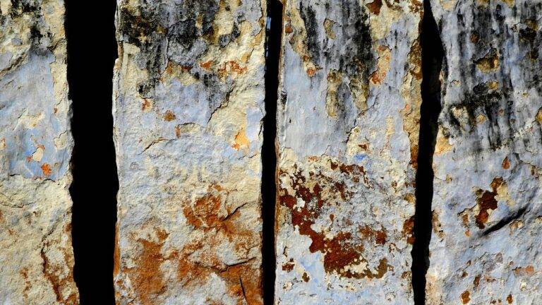 The Role of Political Advisors in Election Campaigns