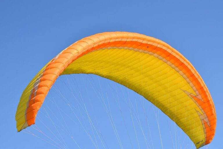 IPL’s Impact on the Mental Health of Players: Coping with Pressure and Expectations