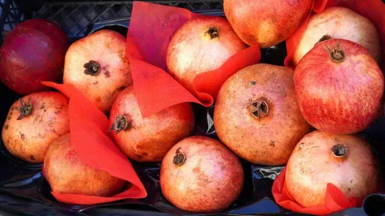 The Psychology of Food Choices: Understanding Decision-Making Processes