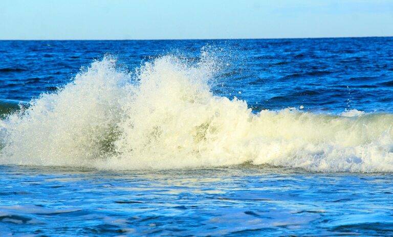 Sustainable Transportation Options for Travel