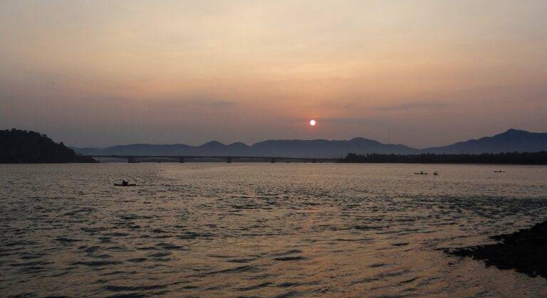 How Political Parties Adapt to Changing Political Landscapes