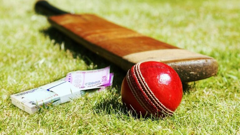Online Cricket ID Tips for New Users
