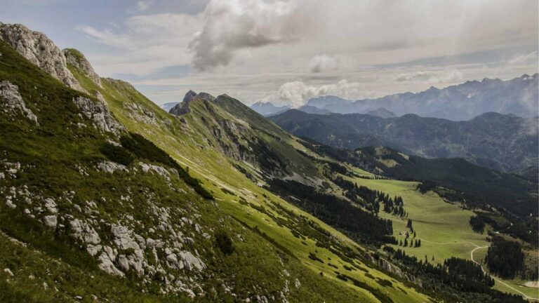 How Does The 99Exch Quick Login Option Work?